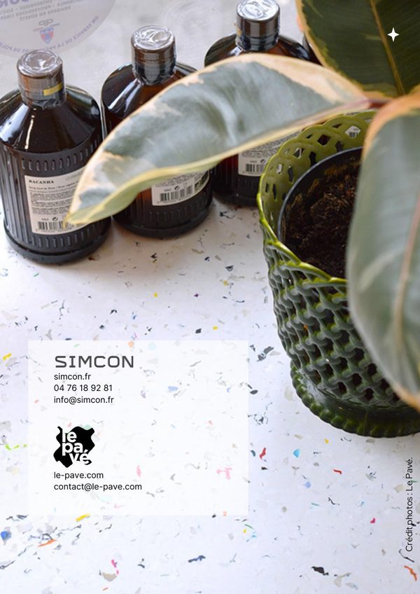 Article Le Pavé pour Simcon - page 6